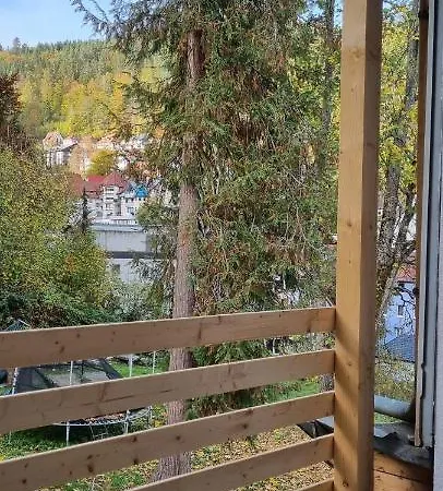 Sm3 Apartment Triberg im Schwarzwald Exterior foto